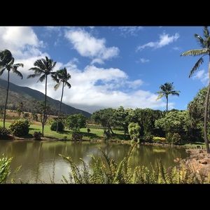 Meet your Posher, Min